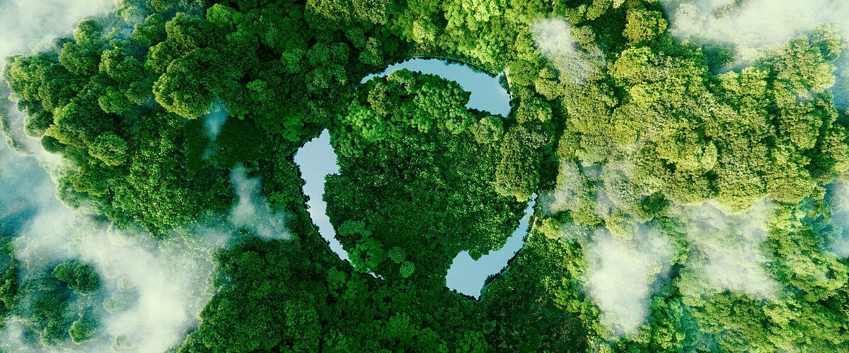 sustainability